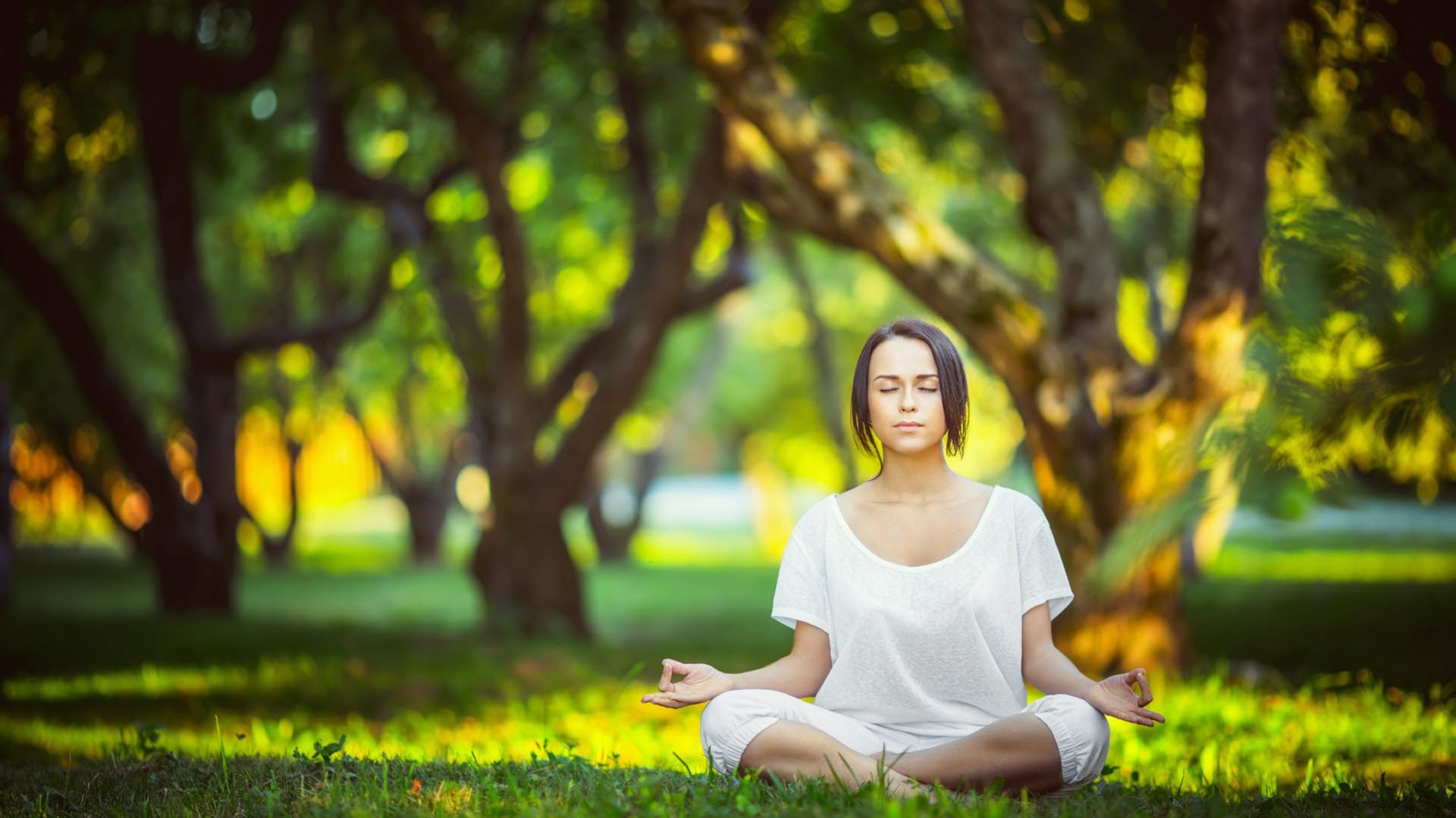 Rookie下课只是休赛期开胃菜，CBA这盘棋谁都别想躺赢|